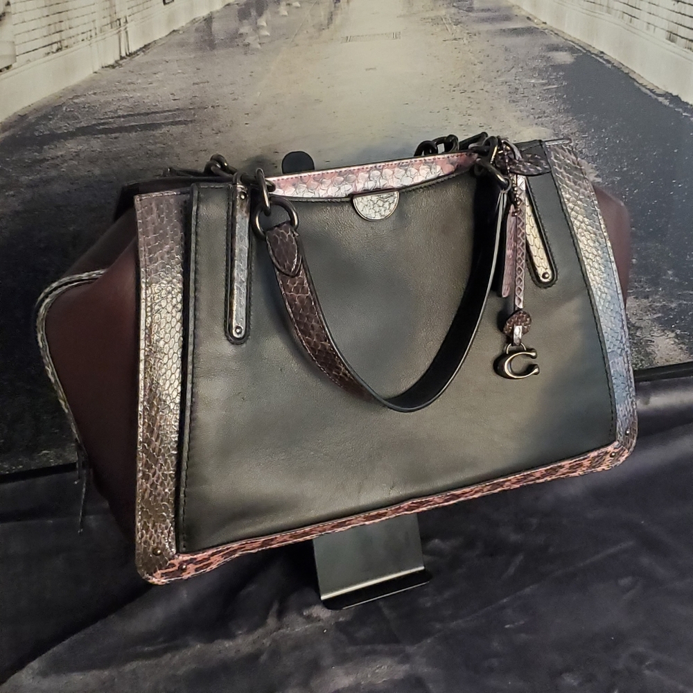 Coach Dreamer 36 in Colorblock With Snakeskin Detail